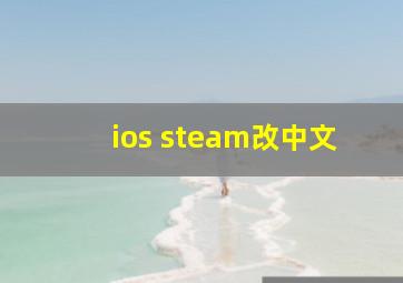 ios steam改中文